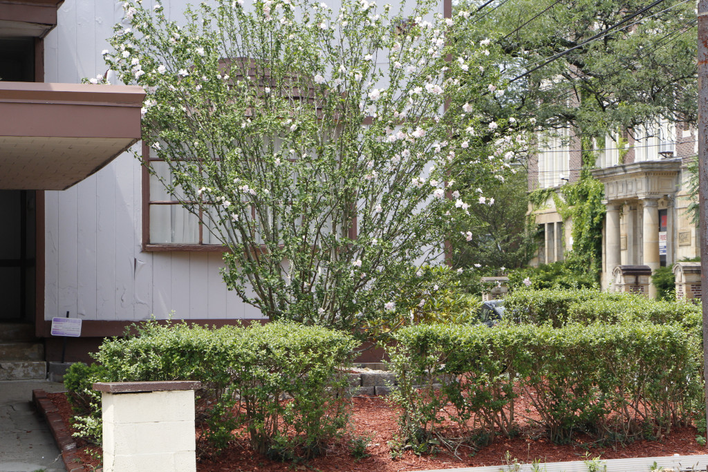 An-Nur Islamic Center